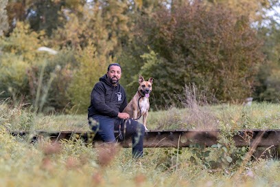 EDUC DOGS AND MASTERS, Dresseur de Chiens à Sessenheim
