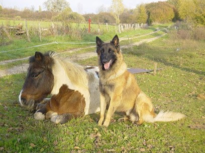 Marmot Dominique, Dresseur de Chiens à Vaivre-et-Montoille