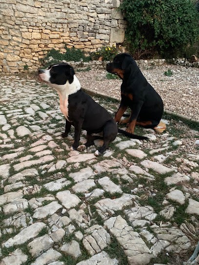 BETTY EDUC PASSION, Dresseur de Chiens à Val-de-Bonnieure