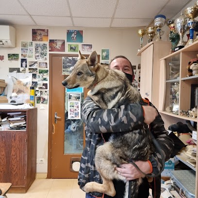 Le Domaine Des Collines Blanches SARL, Eleveur de Chiens à Éguilly