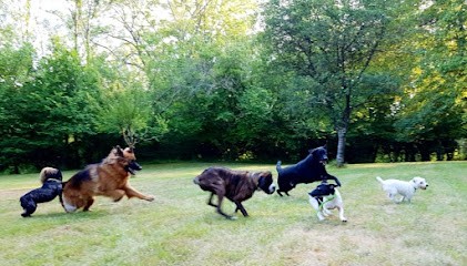 Le Domaine De Fides - Pension Familiale Pour Chien 78, Pension pour Chiens à Jambville