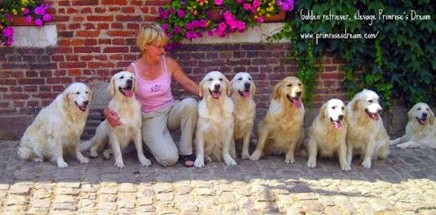 Vesly Martine, Eleveur de Chiens à Clary