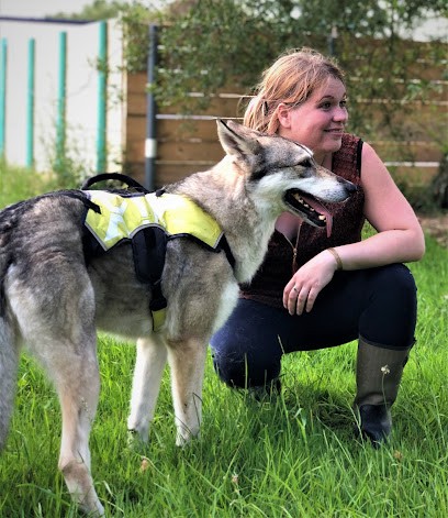 Le Domaine De L'Empreinte 🐾, Dresseur de Chiens à Tercé