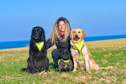 Pension/Garderie CHIENS Ô'Rêve Du Glay, Pension pour Chiens à Mandeville-en-Bessin
