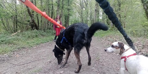 Pension Ti Gard, Pension pour Chiens à Châteauneuf-du-Faou