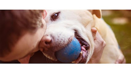 ASSOCIATION CANINE JURA SUD, Eleveur de Chiens à Jeurre