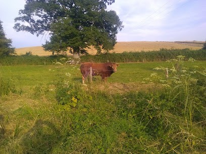 Thoule David, Eleveur de Chiens à Diennes-Aubigny