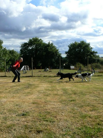 Mon Copain Mon Chien, Dresseur de Chiens à Nivillac