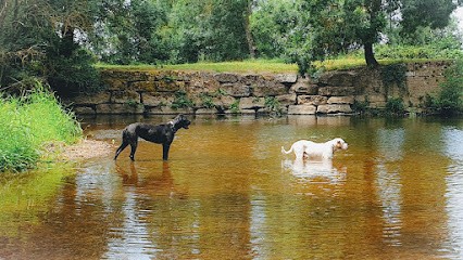 Educ / Comportementaliste Canin Et Zoothérapeute Lagrange Justine, Dresseur de Chiens à Valliere