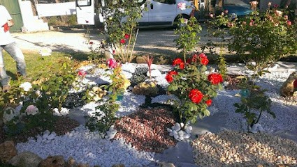 Elevage Des Ops de Lif Thraser, Eleveur de Chiens à Lunel-Viel