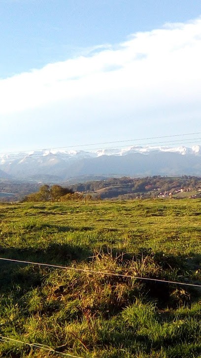 Artigues Anne-Marie ELEVAGE DE LA MAISON DES JEUNES, Eleveur de Chiens à Rontignon