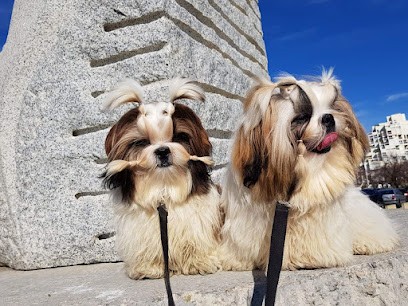 Elevage Du Domaine Du Shiloh, Eleveur de Chiens à Aigues-Mortes