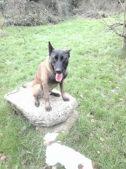 Pension Canine Et Féline Domaine Des 3 Menhirs, Pension pour Chiens à Plomeur