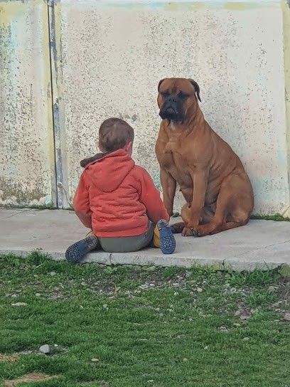 Le Clos Des Gardians, Pension pour Chiens à Staffelfelden