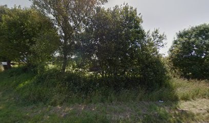 Sport Canin Lannionnais, Dresseur de Chiens à Lannion