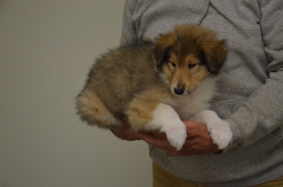 Des Zamours De Caux, Éleveur De Chiens à Grémonville