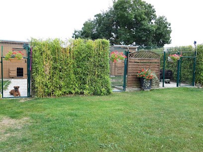 Pension canine et féline du domaine du black and white, Pension pour Chiens à Échillais