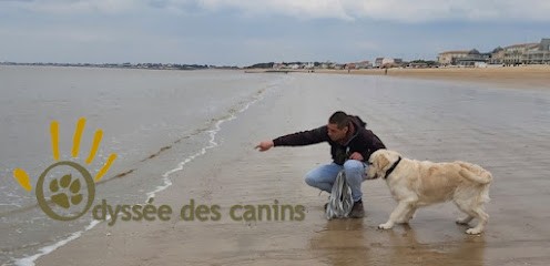 Odyssée Des Canins, Dresseur de Chiens à Saint-Gelais