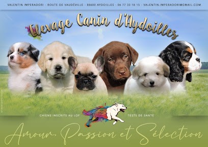 Elevage Canin d'Aydoilles - Elixir d'Aydoilles, Eleveur de Chiens à Aydoilles
