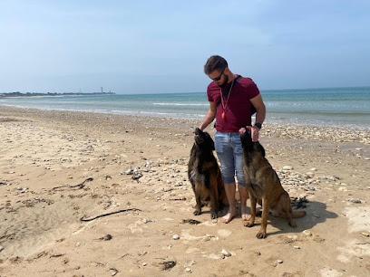 Etb-K9 Academy Éducateur Comportementaliste Canin Dresseur De Chiens à Quévert