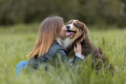 Entre Pawtes - Éducateur Comportementaliste Canin, Dresseur De Chiens à Wambrechies