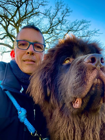 As De Chien, Dresseur de Chiens à Liffré
