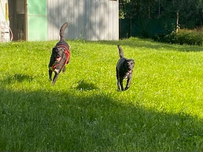 La Laurentière, Pension pour Chiens à Saint-Victor-de-Morestel