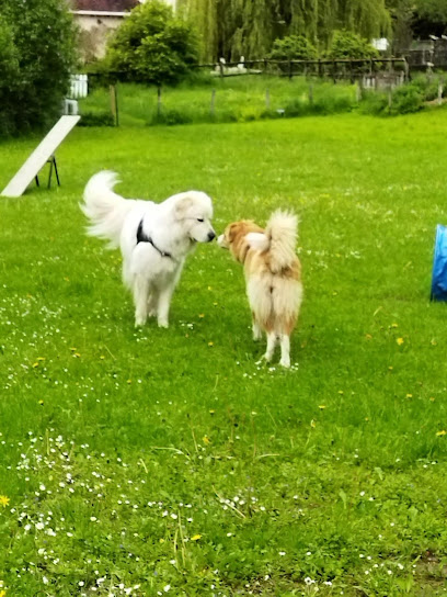 Apprenti-Sage, Dresseur De Chiens à Plaisia