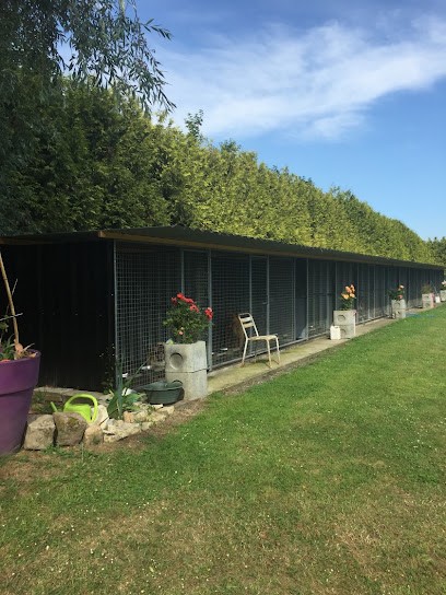 Pension Canine De Louxor, Pension pour Chiens à Deuillet