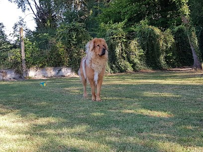 Animal's Club, Pension pour Chiens à Fontaines-en-Sologne