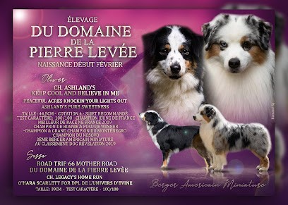 Elevage du Domaine de la Pierre Levée, Eleveur de Chiens à Bellou-en-Houlme