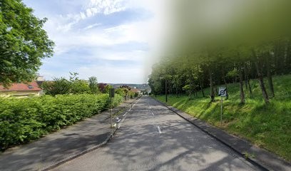 Happy & Dog - La Maternelle Des Chiots, Dresseur de Chiens à Montbéliard