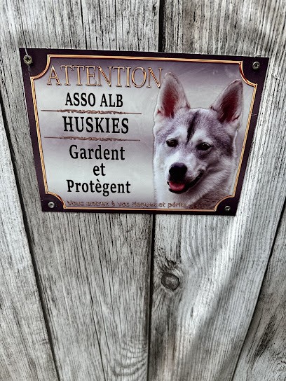 Le Loup Blanc, Pension pour Chiens à La Teste-de-Buch