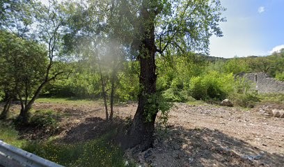 Club canin EducAgyl du Val d'Azur, Dresseur de Chiens à Biot