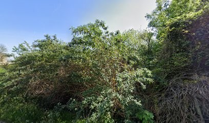 Mission Animale, Dresseur de Chiens à Rolleboise