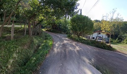 Tof Services, Pension pour Chiens à Ascain