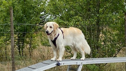 Canis Connexion, Dresseur de Chiens à Saint-Claude-de-Diray