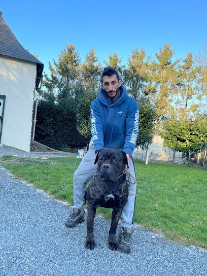 Instadogfr, Eleveur de Chiens à Ménil