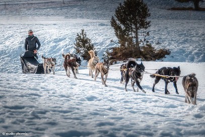 Nord Attitude, Gardians dos Beille, Eleveur de Chiens à Verdun