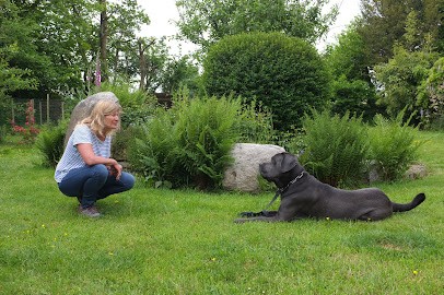 J'éduque Mon Chien/Educateur Canin Comportementaliste, Dresseur de Chiens à Saint-Eloy