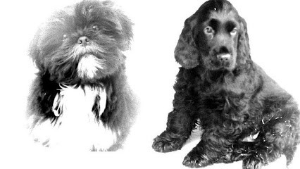 Caniland's Dream - Aymeric Isabelle, Eleveur de Chiens à Rosières