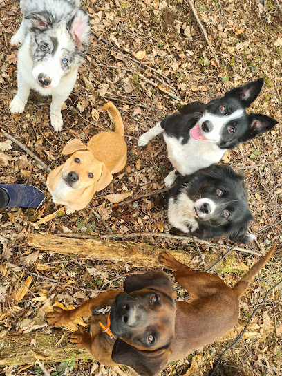 Pension L'etoile, Pension Pour Chien à Fraize
