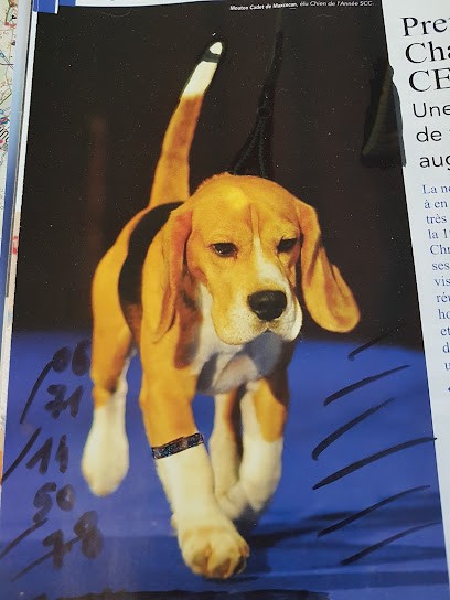 Kennel Livestock Tours Nord, Pension pour Chiens à Monnaie
