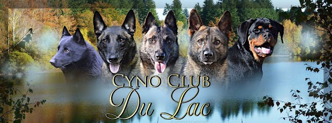 Cyno club du Lac, Dresseur de Chiens à Bessines-sur-Gartempe