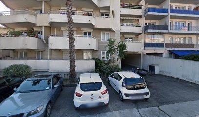 Chance d azur - Elevage de Basset Hound, Eleveur de Chiens à Cagnes-sur-Mer