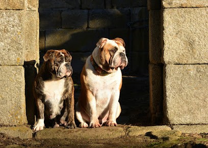 Élevage de la Landerie, Eleveur de Chiens à Beaussais-sur-Mer