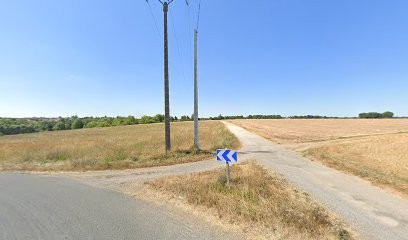 Du Domaine De La Housure, Eleveur de Chiens à Saint-Martin-de-Nigelles