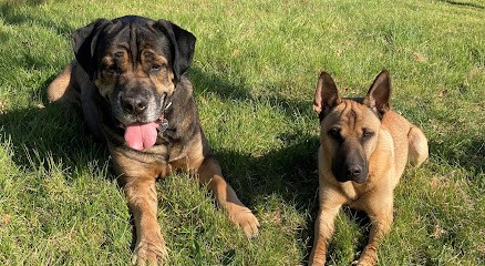 Les Bettyses Canines, Dresseur de Chiens aux Avenières Veyrins-Thuellin