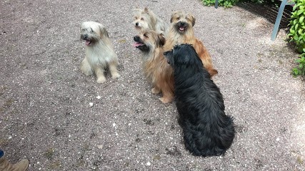 Elevage du Closeau des Trois Frênes, Eleveur de Chiens à Saint-Jean-d'Ataux