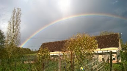 Calin Pension Royal Thiron Gardais, Pension pour Chiens à Thiron-Gardais